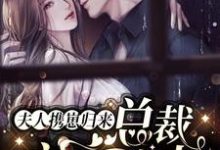 夫人携崽归来,总裁夜夜追妻小说最新章节在哪里可以读到?-个性文学