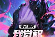 已完结小说《穿越异界,我觉醒超神级天赋》章节在线阅读-个性文学