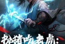 幽月柳子鸢朝华的故事在哪本书里?免费阅读扮猪吃老虎:神女她超强-个性文学