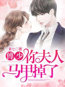 傅少，你夫人马甲掉了傅辰池暖小说大结局免费试读