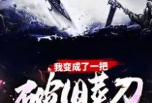 我变成了一把破旧菜刀苏木在线章节免费阅读-个性文学