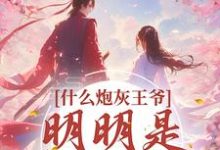 什么炮灰王爷,明明是移动金库小说,什么炮灰王爷,明明是移动金库章节在线阅读-个性文学