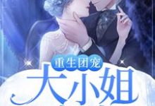 主人公叫凌雪落景墨迟的小说哪里免费看-个性文学