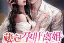 完结版《藏起孕肚离婚，总裁他失控疯了》免费阅读-个性文学