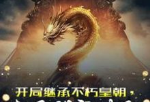 主人公叶长生小说开局继承不朽皇朝，太子别突破了在线章节阅读-个性文学