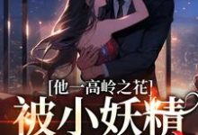 他一高岭之花,被小妖精拿下了主角林幼宁顾淮琛小说完结版章节在线阅读-个性文学