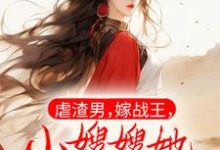 虐渣男，嫁战王，小嫂嫂她医术第一免费阅读，虐渣男，嫁战王，小嫂嫂她医术第一章节在线阅读-个性文学