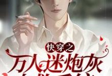 快穿之万人迷炮灰自救系统这本小说怎么样？免费在线阅读试试-个性文学