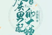 穿成炮灰男配的大嫂小说免费资源,穿成炮灰男配的大嫂在线阅读-个性文学