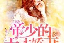 小说《隐婚独宠：帝少的天才娇妻》章节免费阅读-个性文学