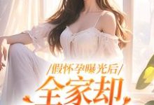 男女主人公叶玲雅周庭深小说假怀孕曝光后，全家却舍不得我走章节免费阅读-个性文学