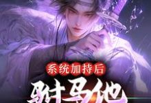 免费在线阅读系统加持后,驸马他签到成仙了小说的正规网站有哪些?-个性文学