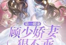 夏柠顾林城陈团团为主角的小说叫什么?免费看第一婚宠:顾少娇妻狠不乖-个性文学