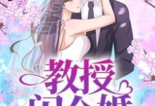 求教授，闪个婚小说免费资源-个性文学