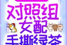 成柚戚承晏小说叫什么(重生七零:对照组女配手撕绿茶免费阅读)-个性文学