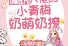 偏执大佬的小青梅奶萌奶撩韩城野宁染,偏执大佬的小青梅奶萌奶撩在线无弹窗阅读-个性文学