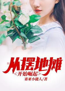 从摆地摊开始崛起陈力林曼小说在线章节免费阅读