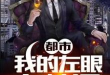 求推荐可以免费阅读都市:我的左眼有神通小说的网站-个性文学