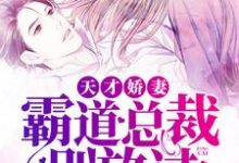 天才娇妻,霸道总裁别放过小说无弹窗阅读的网站推荐-个性文学