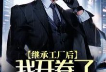 已完结小说《继承工厂后，我开卷了国货商战》在线章节阅读-个性文学