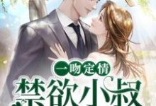 姜愿傅砚礼的小说在哪里看？免费在线阅读一吻定情：禁欲小叔太难撩-个性文学