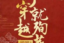 男女主人公司夜云轩辕靖小说刚穿越就殉葬？闹呢！章节免费阅读-个性文学