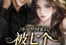 小可怜回家后,被七个兄长爆宠小说的免费阅读版本在哪里可以找到?-个性文学