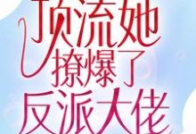 全网惊呼！顶流她撩爆了反派大佬江楚宜墨迟砚小说在线章节免费阅读-个性文学