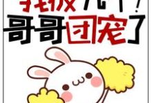 求福宝三岁半：我被九个哥哥团宠了！小说的全文免费阅读链接-个性文学