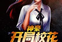 张扬韩文丽林雅雅苏芮琪的故事在哪本书里？免费阅读神豪：开局校花缠上我-个性文学