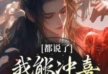 都说了我能冲喜,怎么没人信这本小说完结了吗?免费查看最新章节-个性文学