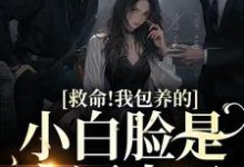 哪里能找到救命!我包养的小白脸是京圈太子小说的最新更新和免费章节?-个性文学