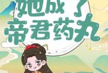 完结版《穿越后,她成了帝君药丸》章节阅读-个性文学