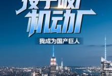 苏晨杨蜜是哪本书的主角?接手破产机动厂:我成为国产巨人免费读-个性文学