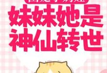 小说《团宠小奶娃:妹妹她是神仙转世》章节免费阅读-个性文学