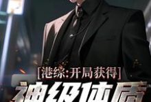 小说《港综:开局获得神级体质,我无敌了》在线章节阅读-个性文学