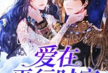 爱在平行时空凌风蕊小说免费阅读-个性文学