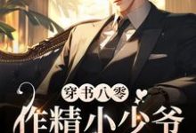 《穿书八零,作精小少爷赖上大反派(耽美)》小说大结局免费试读 宋迟陆阎琛小说-个性文学