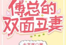 三宝联盟：傅总的双面丑妻许安安傅寒决，三宝联盟：傅总的双面丑妻小说免费阅读-个性文学