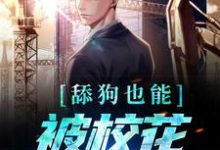 舔狗也能被校花死缠烂打？宋诚孙颖，舔狗也能被校花死缠烂打？小说免费阅读-个性文学