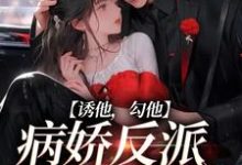 小说《诱他，勾他，病娇反派快上钩》在线章节阅读-个性文学