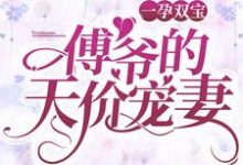 一孕双宝:傅爷的天价宠妻乔卿卿傅司霆,一孕双宝:傅爷的天价宠妻小说免费阅读-个性文学