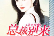 星光璀璨：总裁别来无恙免费阅读，星光璀璨：总裁别来无恙章节在线阅读-个性文学