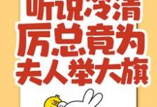 听说冷清厉总竟为夫人举大旗!这本小说怎么样?免费在线阅读试试-个性文学