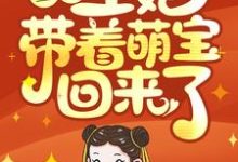 苏梨帝页君为主角的小说王爷,王妃带着萌宝回来了!在线阅读-个性文学