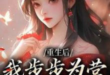 重生后,我步步为营,揭露宫斗萧珞沈彧在线章节免费阅读-个性文学