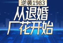 逆袭1983，从退婚厂花开始，逆袭1983，从退婚厂花开始小说免费阅读-个性文学