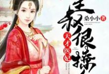 《天才医妃：皇叔很撩人》小说主角叶挽歌秦非夜章节章节免费在线阅读-个性文学