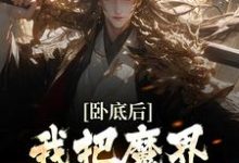 沈逸尘的小说在哪里看?免费在线阅读卧底后,我把魔界圣女拿下了-个性文学