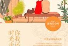 时光走远，你我还在这本小说在哪里可以看？哪里有免费试读章节？-个性文学